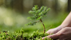 環境コンプライアンスと製品持続可能性